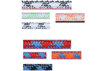 Dynamic Rope